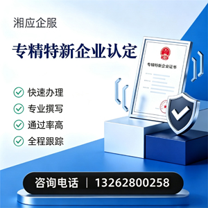 西宁专精特新企业申报服务