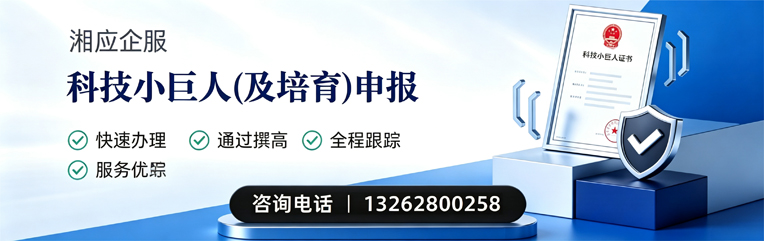 西宁科技小巨人及培育企业申报服务