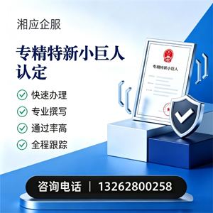 西宁专精特新小巨人申报服务