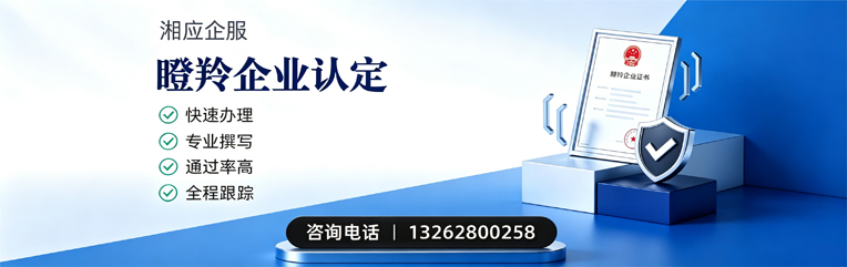 西宁瞪羚企业认定申报服务