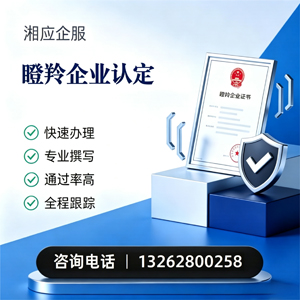 西宁瞪羚企业认定申报服务
