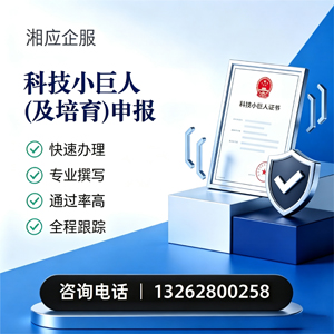 西宁科技小巨人及培育企业申报服务