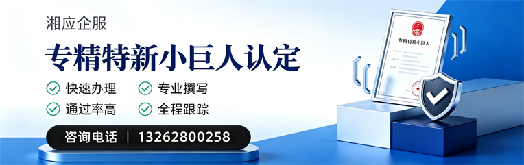 西宁专精特新小巨人申报服务
